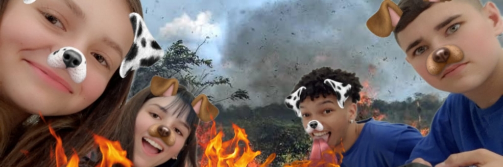 Imagem Ilustrativa