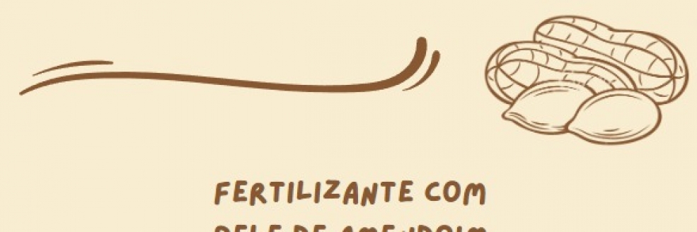 Imagem Ilustrativa