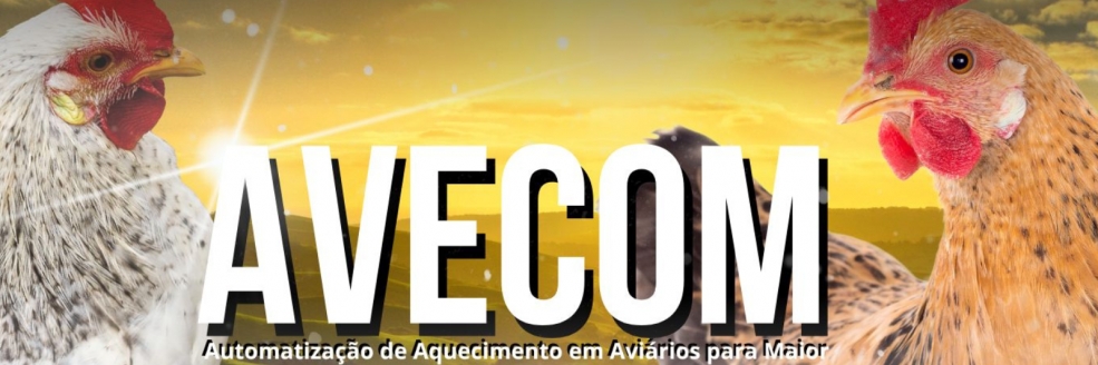 Imagem Ilustrativa