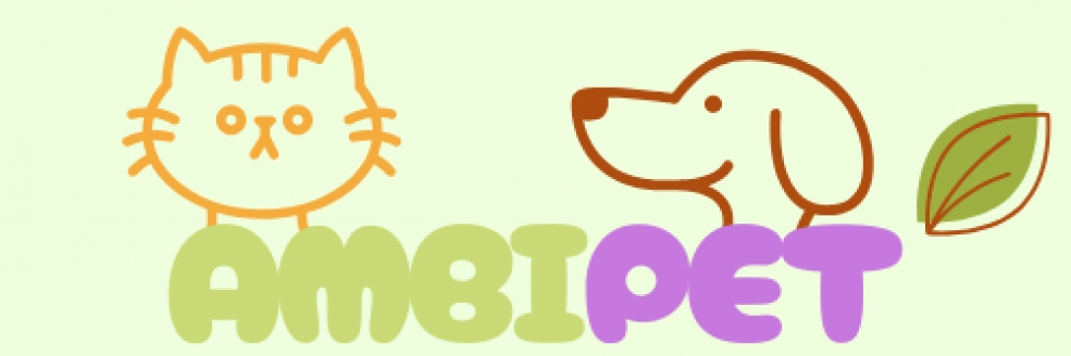 Imagem Ilustrativa