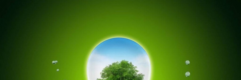Imagem Ilustrativa