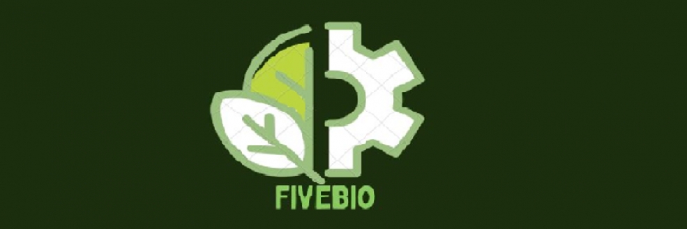 Imagem Ilustrativa