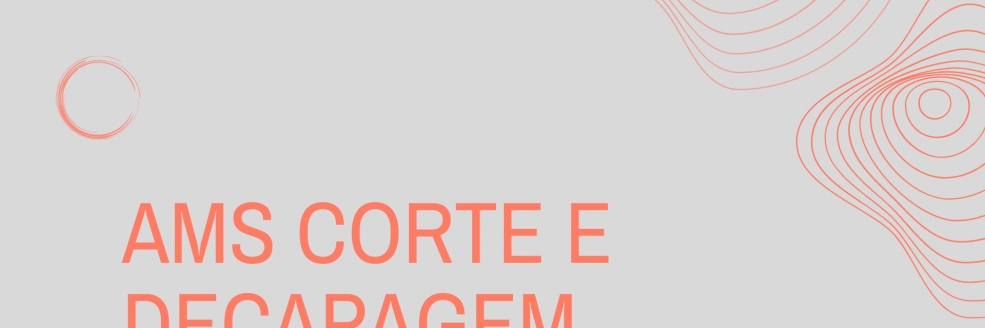 Imagem Ilustrativa