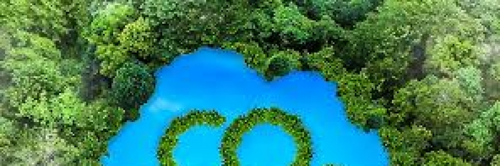 Imagem Ilustrativa