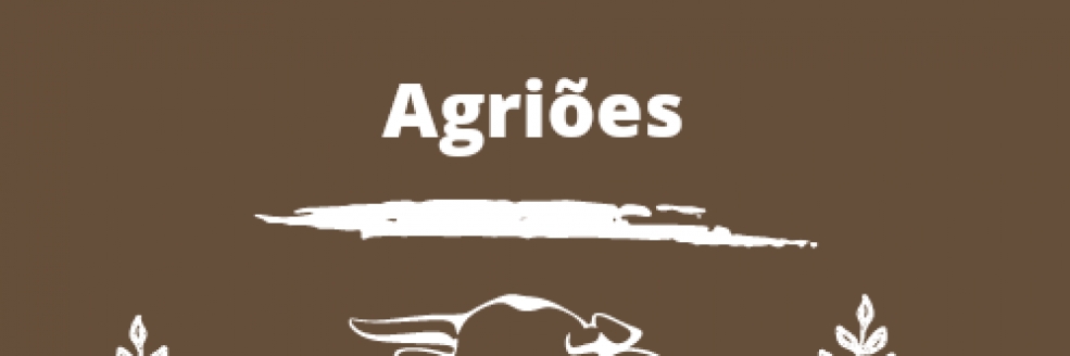 Imagem Ilustrativa