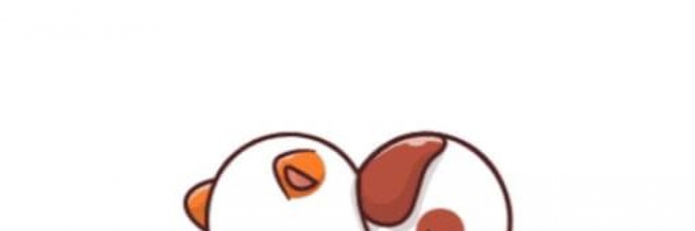 Imagem Ilustrativa