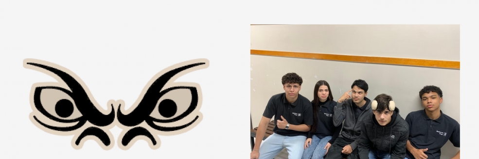Imagem Ilustrativa