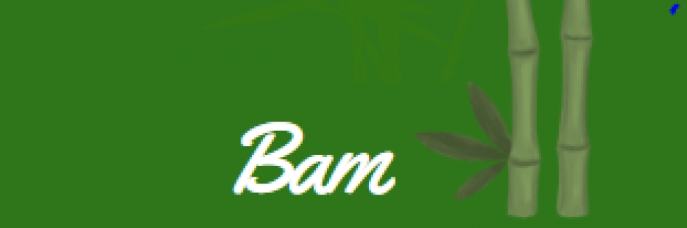 Imagem Ilustrativa