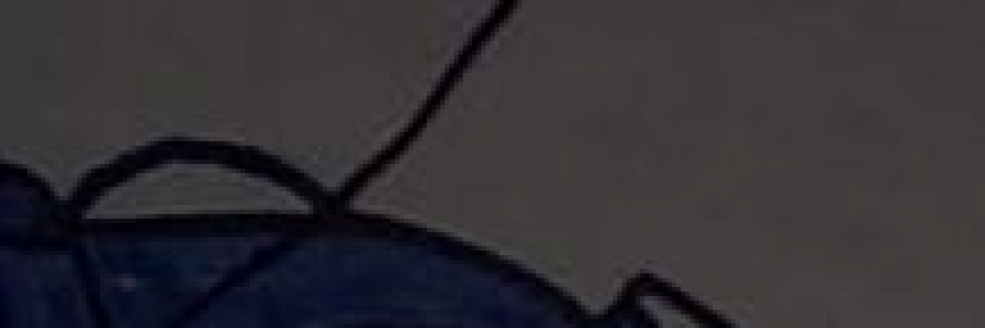 Imagem Ilustrativa