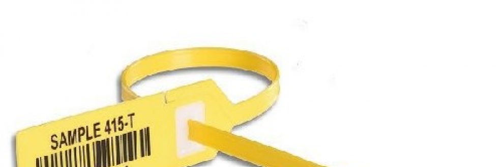 Imagem Ilustrativa