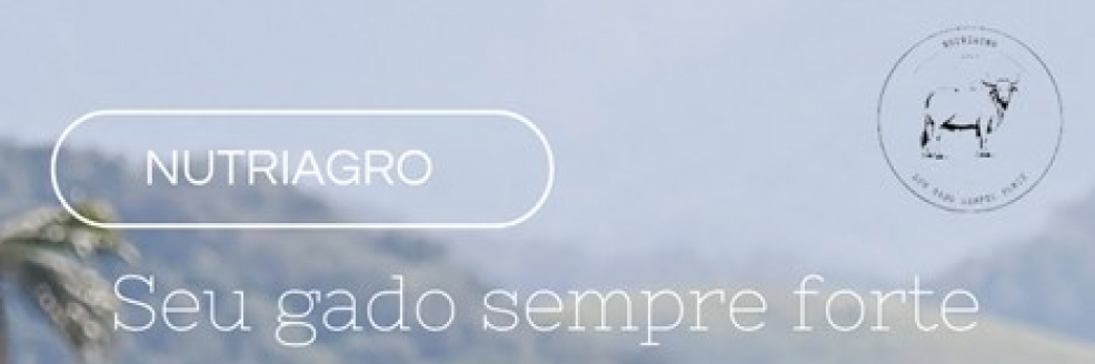 Imagem Ilustrativa