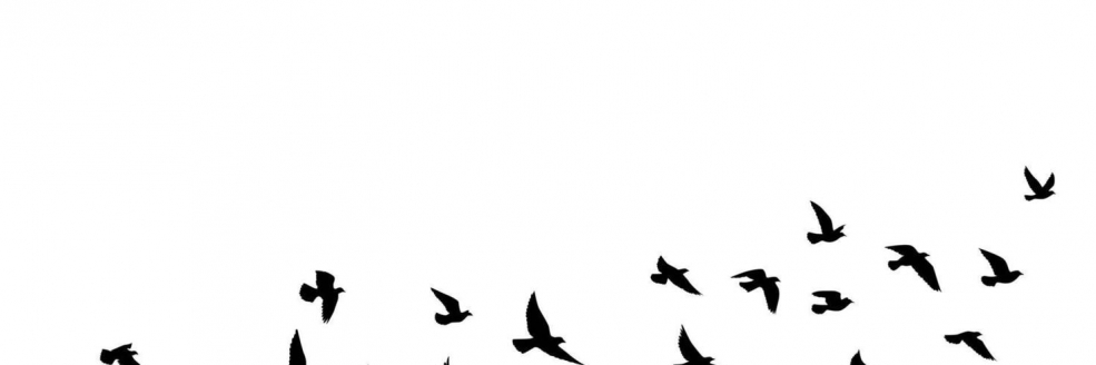 Imagem Ilustrativa