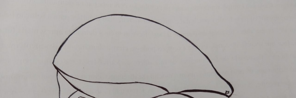 Imagem Ilustrativa