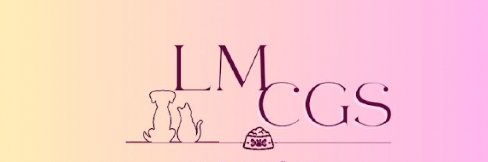 Imagem Ilustrativa