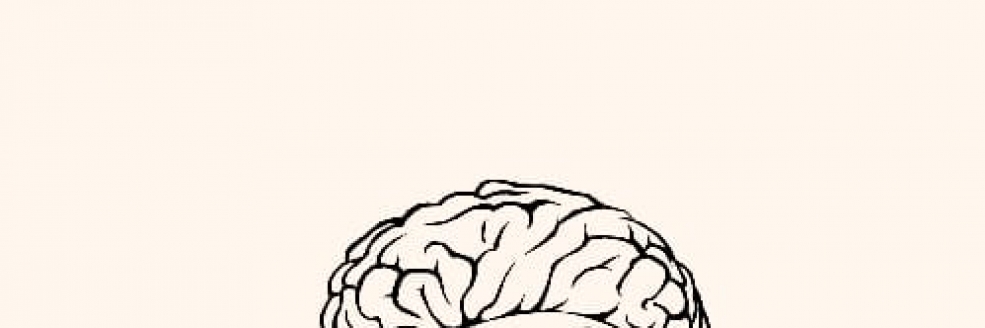Imagem Ilustrativa