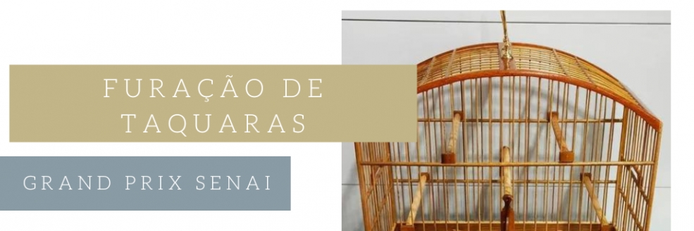Imagem Ilustrativa