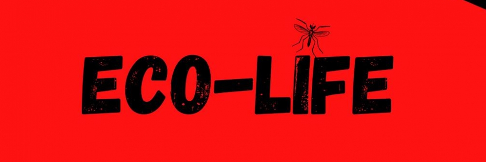 Imagem Ilustrativa