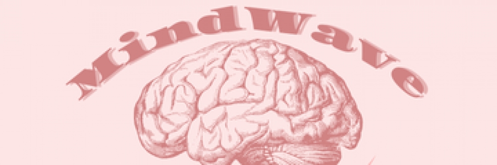 Imagem Ilustrativa
