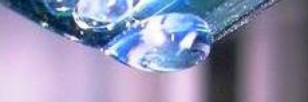 Imagem Ilustrativa