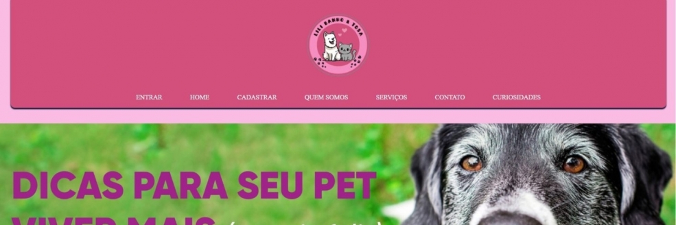 Imagem Ilustrativa