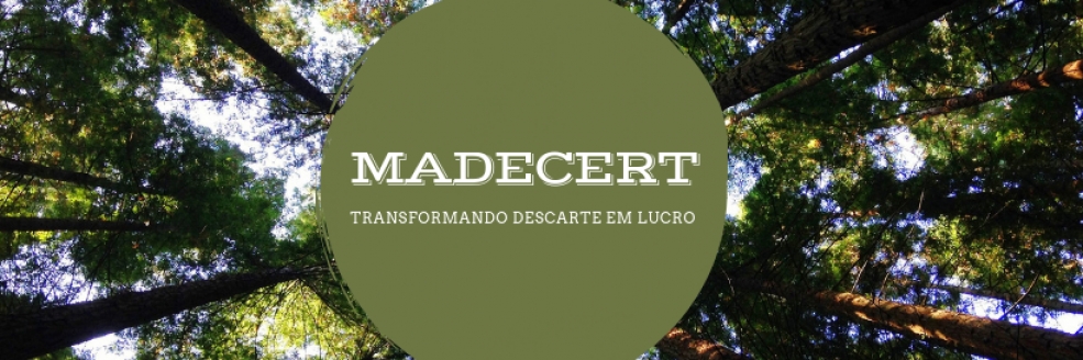 Imagem Ilustrativa