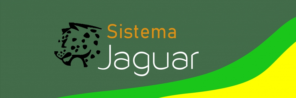 Imagem Ilustrativa
